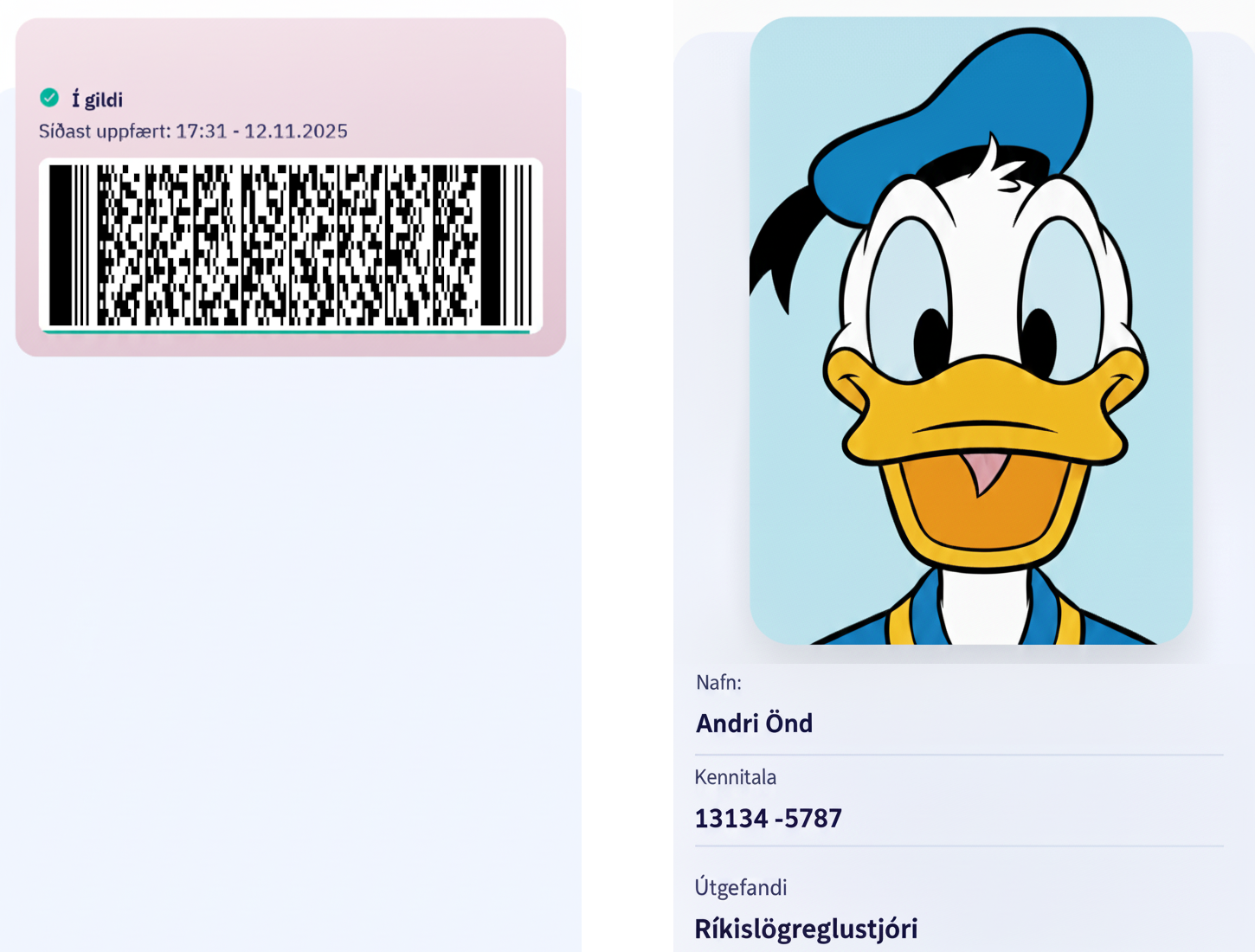Hugmynd að bættri hönnun skilríkjanna. Skilríki hjá handhafa (til vinstri) og skannað skilríki (til hægri)